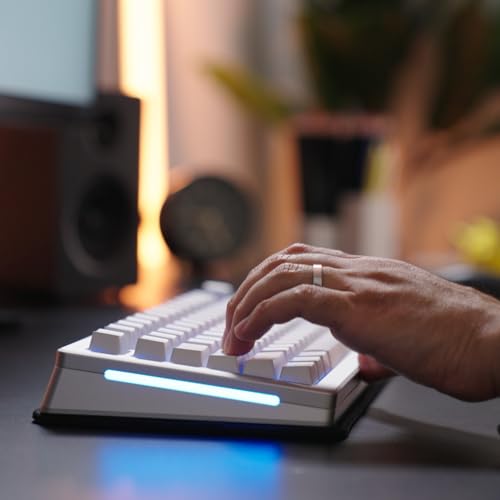 GLORIOUS Gaming Sound Dampening Keyboard Mat - Stitched Edges, Absorbs Keyboard Sounds & Vibrations, Machine Washable, Non-Slip Base, Fits Most Compact Keybaords - Black - size: Compact