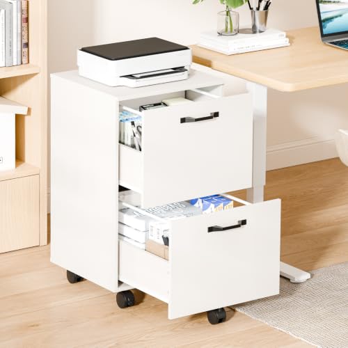 Sweetcrispy 2-Drawer Rolling File Cabinet, Under Desk Storage, White