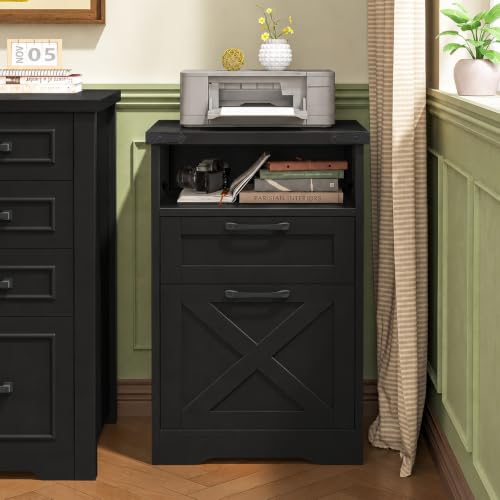 Vabches Office Filing Vertical Cabinet with 2 Drawers, Black | Farmhouse Filing Cabinet with Open Storage Space and Printer Stand for Hanging Files Letter/A4 for Home Office. - color: Black, style: Vertical