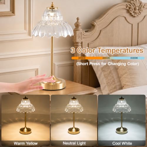 Cordless Table Lamp, Touch Control, 6000mAh Rechargeable Battery-Operated Portable Lamp, 3 Color Temperatures & Stepless Dimming, Vintage Bedside Lamp for Bedroom, Office & Desk, Clear Lotus - color: Flower Transparent
