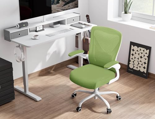 Ergalithic Office Chair: Mesh Ergonomic Desk Chair with 3D Lumbar & Swivel - color: Green, size: Pack of 1