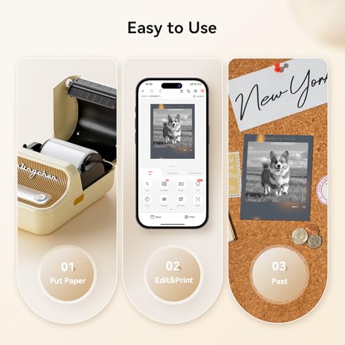 NIIMBOT B21 Pro 300 DPI Bluetooth Label Maker with Tape, Beige - color: Beige