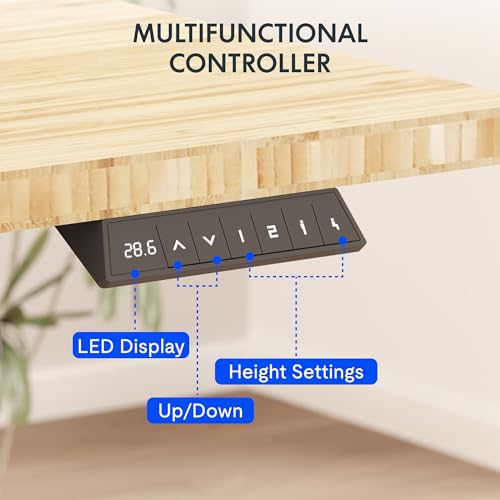 FLEXISPOT EN2 48"x24" Bamboo Electric Standing Desk with Power Strip | Solid Bamboo Desktop, Cable Management, Convenient Clamp Power Strip, And Clean Home Office Setup, Grey Frame - color: Bamboo Top + Grey Frame, size: 48x24"