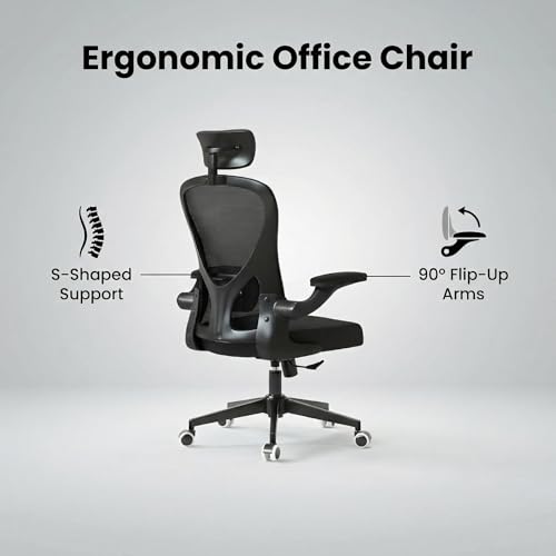 Monhey Ergonomic Chair, Adjustable Lumbar & Flip-up Arms, Black - color: 10black