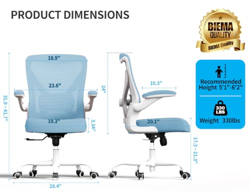 Ergalithic Office Chair: Mesh Ergonomic Desk Chair with 3D Lumbar & Swivel - color: Sky Blue, size: Pack of 1