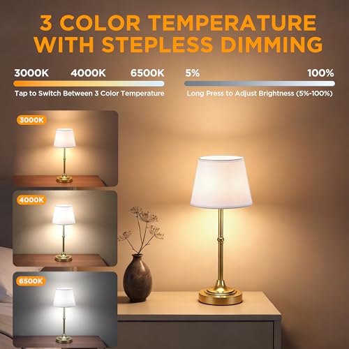 LUTEC Cordless Table Lamp, Battery Operated Lamp with 3 Color Temps and Stepless Dimming, 5200mAh Portable Rechargeable Table Lamp for Restaurant/Bedroom/Bars/Outdoor (Brushed Gold) - color: Gold, size: 1 Pack