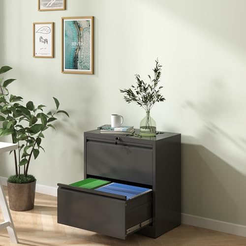2 Drawer Lateral File Cabinet with Lock,Black Metal Filing Cabinet - color: Black, size: 26.8"W-2 drawers