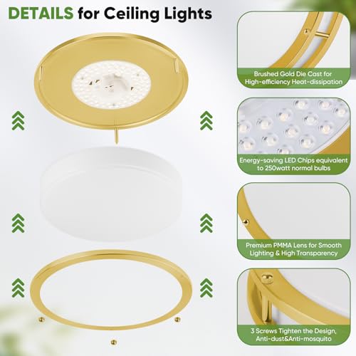 TOBUSA 13 Inch Flush Mount Light Fixtures, 2-Pack Gold LED Ceiling Lights - color: Brushed Gold-5CCT-2, size: 13 inch