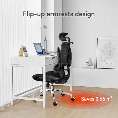 SIHOO M59AS Ergonomic Office Chair, Adaptive Lumbar Support, 2 Packs, Black - color: Black, size: Pack of 2