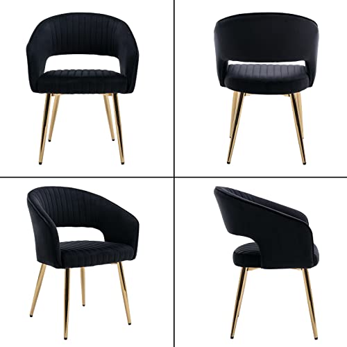 Velvet Dining Chairs Set of 2, Upholstered Dining Room Chairs with Gold Metal Legs, Modern Accent Kitchen Chairs with Curved Backrest for Living Room, Black - color: Black 2