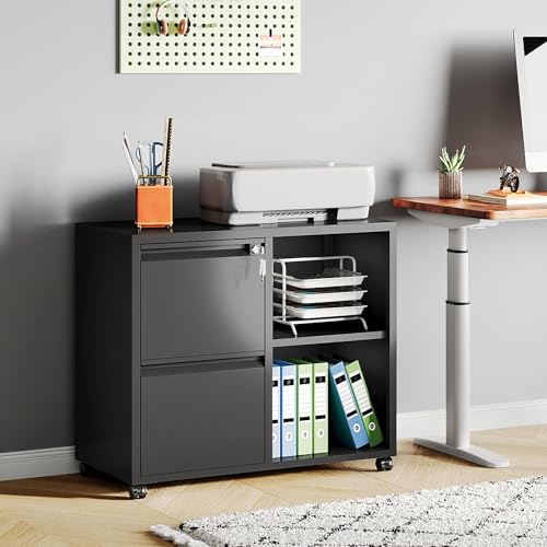 DEVAISE Lateral File Cabinet with 2 Drawers and Adjustable Shelf - color: Black