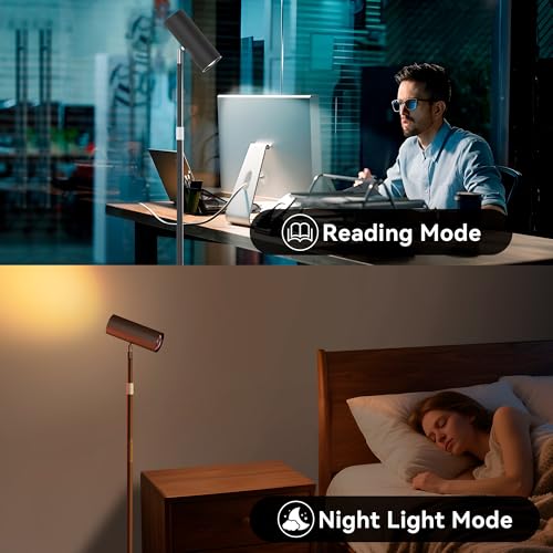 SIBRILLE Spotlight Floor Lamp, Tall LED Standing Lamp with Remote/Touch Control, 2700K-6500K, 350°Rotating Head Standing Lamp, Reading Floor Lamp for Living Room, Bedroom, Office & Wall Art, Black RGB - style: Black-RGB