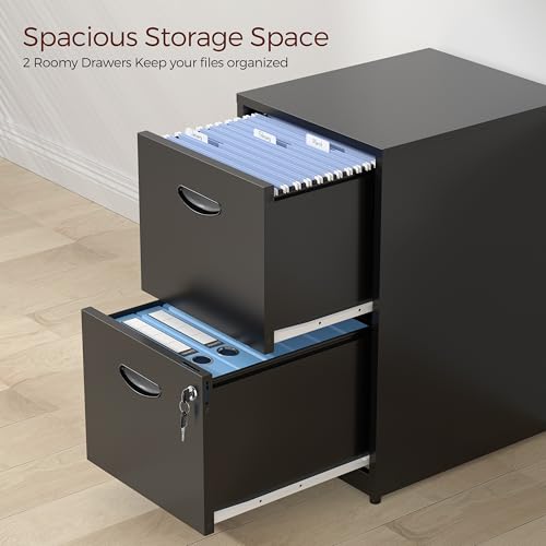 2 Drawer File Cabinet with Lock, Metal Filing Cabinet for Office | Small File Cabinets for Home Office, Under Desk Vertical File Cabinet Fit Hanging Files, Letter & A4 Documents - color: Black, style: 2 Drawers-Light Duty