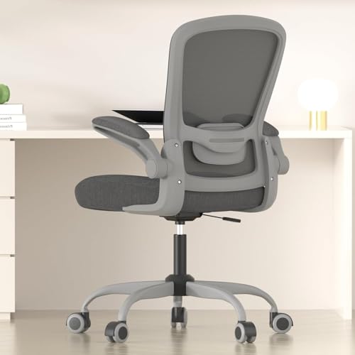 Ergonomic Office Chair w/Adjustable Lumbar, Flip Armrest, 135° Recline - color: Iron Gray With Gray Frame
