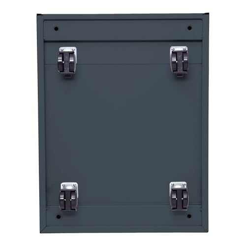 Alera PA54-2820CH Two-Drawer Metal Pedestal File 16w x 19-1/2d x 28-1/2h Charcoal, Charcoal