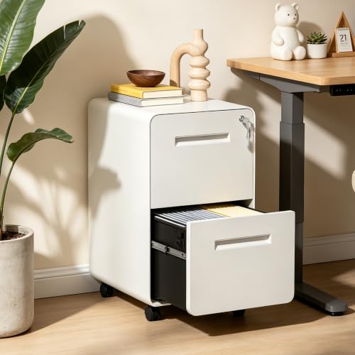 SAWJEC 2 Drawer File Cabinet with Lock, Fully Assembled, White - color: 04w-white