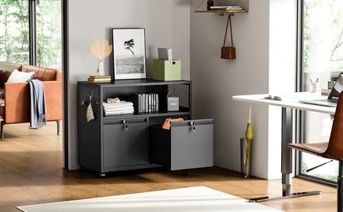 Metal File Cabinet,2 Drawer Filing Cabinet with Lock,Rolling Printer Stand Storage Cabinets with Shelves for Home Office Letter/Legal/A4 Size Files(Black) - color: Black, size: 31.5"W x 28"H x 17"D - B