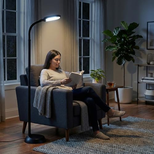 Floor Lamp - Full Spectrum Natural Sunlight Lamp with Bendable Neck - Reading, Craft, Studying, and Esthetician Light by Lavish Home (Black)