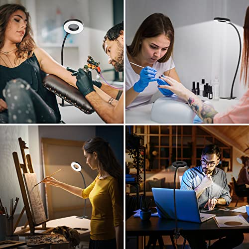 iZELL Desk Lamp, LED Reading Light with Clamp, 3 Color Modes & 10 Brightness Flexible Arm Book Light for Kids Reading Book in Bed at Night Clip on Table, Computer, Zoom Meetings - 27.6‘’ Black - size: 27.6'' Black