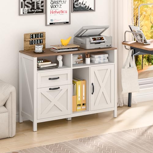 Halitaa Farmhouse Lateral File Cabinet with 2 Drawers and Door, White - color: Rustic White, size: 28.35"H