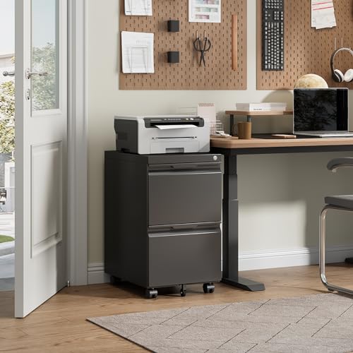 2 Drawer File Cabinet with Lock,Rolling Vertical File Cabinets for Home Office,Small Metal Filing Cabinet Office Drawers Under Desk for A4-Size/Letter-Size/Legal-Size- Assembly Required/Black - color: Black, size: 2 Drawer-Mobile