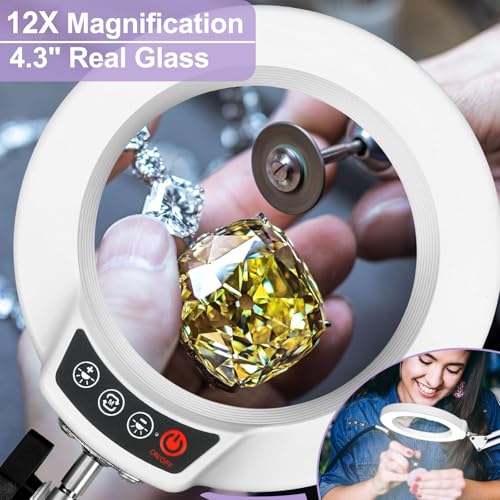 12X Magnifying Glass with Light and Clamp, Real Glass Lens Lighted Magnifier, 5 Color Modes LED Dimmable Desk Lamp Hands Free for Jewelry Crafts Hobby Painting Close Work, White - color: White, size: 12X 17.8inch Clamp