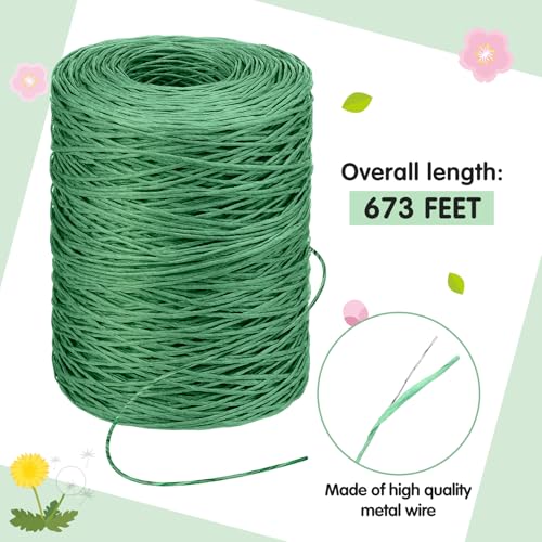 Syhood 673 Feet Floral Vine Bind Wire Rustic Craft Wire, Mint Green - color: Mint Green, size: 673 Feet
