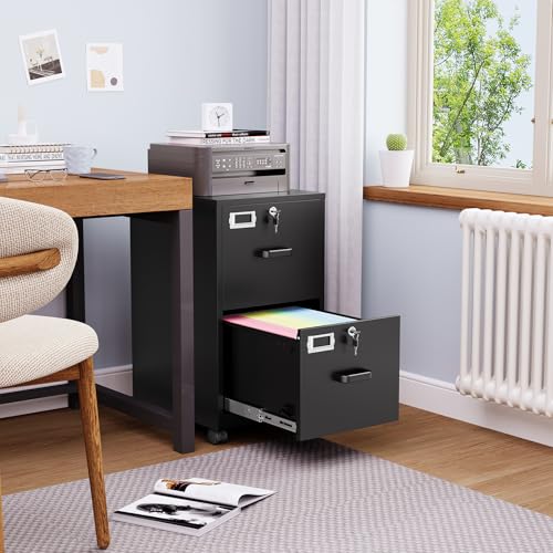 BYNSOE 2 Drawers File Cabinet with Lock Metal Vertical File Cabient with Wheels Mobile File Cabinet for Office Home Legal/Letter/a4 Size Require Assembly - color: Black, size: 27.36"H x 17.71"D x 15"W