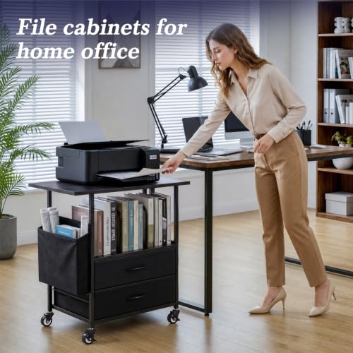Faesun 22IN Mobile Filing Cabinet, Rolling File Cabinet with Fabric Drawers - color: Black