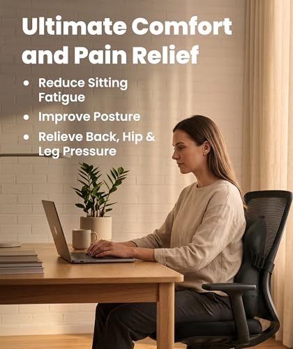 Everlasting Comfort Lumbar Support Pillow for Office Chair - Improves Posture, Promotes Back Pain Relief - Superior Back Support for Gaming and Desk Chairs - Lumbar Pillow for Car, Couch - color: B. Black Premium Relief