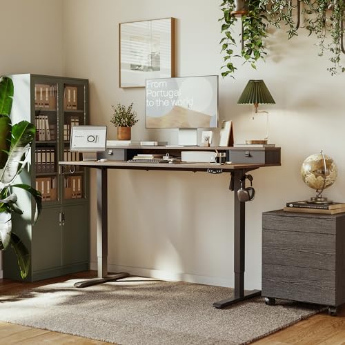 Agilestic 55 * 24 Inch Electric Standing Desk with Drawers, Rustic Brown - color: Rustic Brown, size: 55 x 24 Inches with 2 drawers