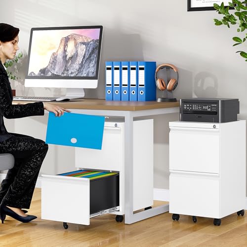 SISESOL Assembled 2 Drawer File Cabinet on Wheels,Metal Filing Cabinet with Lock,White Rolling File Cabinets,Under Desk Office Cabinets for Home Office,Fit A4/Letter/Legal,Pre-Assembled Except Caster - color: White, size: 26.2"H x 14.6"W x 17.32"D