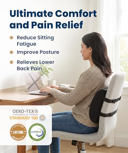 Everlasting Comfort The Original Lumbar Support Pillow for Office Chair - Improves Posture, Promotes Back Pain Relief - Superior Back Support for Gaming and Desk Chairs - Lumbar Pillow for Car, Couch - color: A. Black Mesh