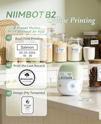 NIIMBOT B2 Label Maker Machine with Tape for Home Office, Green White | Portable Bluetooth 2 Inch Label Printer with Multiple Templates, Thermal Labeler for Kitchen Coffee Shop Bakery Organization - color: Green White