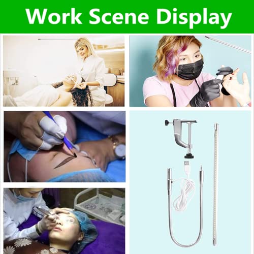 USB LED Desk Lamp, Adjustable Clip On Nail Lamp Light Eye Care Gooseneck 360° Swivel with Switch LED Clamp Light for Manicure Reading Tattoo - color: Monochromatic Light