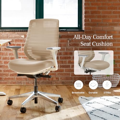 Branch Ergonomic Chair, Versatile Desk Chair with Adjustable Lumbar Support