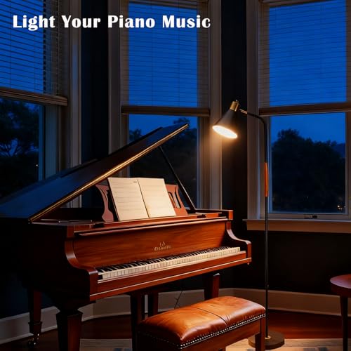 Adjustable Reading Floor Lamp,360°Rotatable Shade,3CCT LED Bulb Include,Black - color: Black Metal Shade