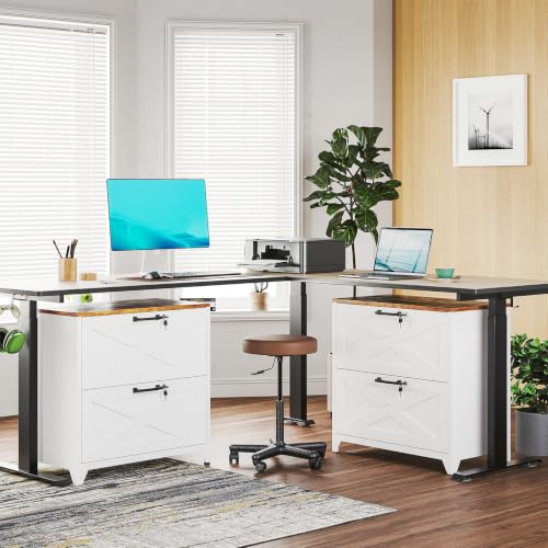 BYNSOE 2 Drawer Lateral File Cabinet Metal Filing Cabinet with Lock Office Home Steel Lateral File Cabinet for A4 Legal/Letter Size Lockable Wide Metal Cabinet,Assembly Required - color: White, size: 2 Drawers-2