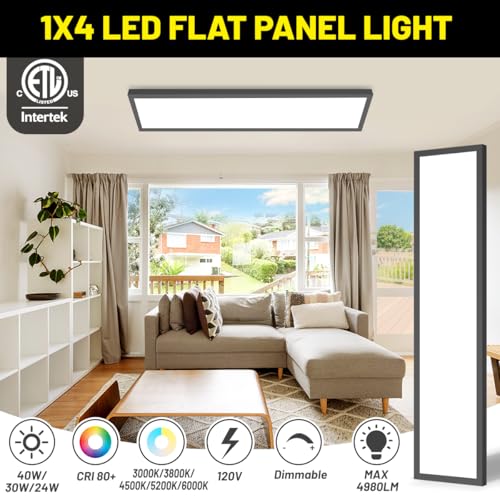 1x4 Led Flat Panel Light Surface Mount 2-Pack, 40W/4980LM, 5CCT 3000K/3800K/4500K/5200K/6000K, Flush Mount Ceiling Light for Kitchen, Garage, Hallway, Office, Black, ETL - color: Black, size: 1ft. X 4ft. (2-pack)