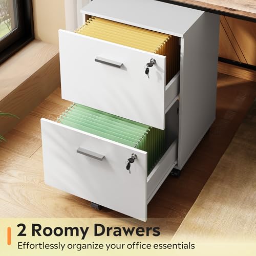 DEVAISE 2 Drawer File Cabinet with Lock, Mobile Printer Stand, White - color: White