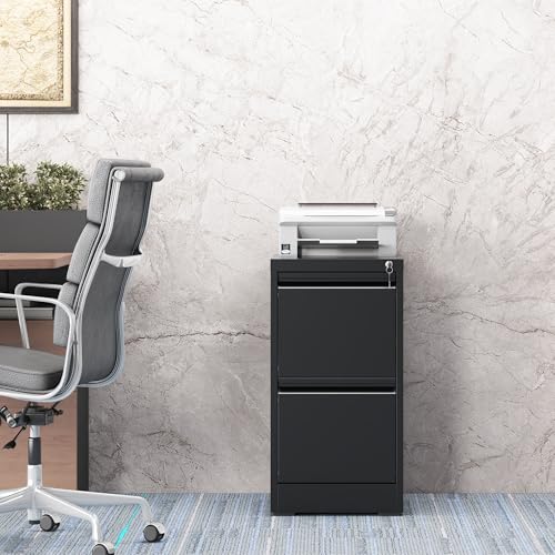2 Drawer File Cabinet with Lock, File Cabinet, Steel Vertical Filing Cabinets for Home Office, Heavy Duty File Storage Cabinet for Legal/Letter/A4 Documents, Easy to Assemble, Black - color: Black, size: 2-Drawer