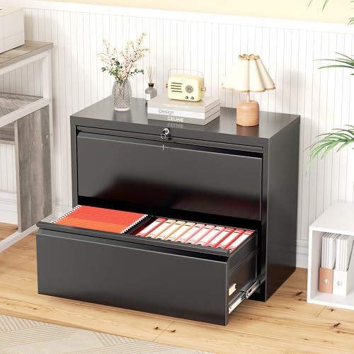 Greenvelly Lateral File Cabinet 2 Drawer, Black File Cabinet with Lock, Lockable Metal Filing Cabinet for Home Office, 2 Drawer File Cabinet for A4 & Letter Size Hanging Folders