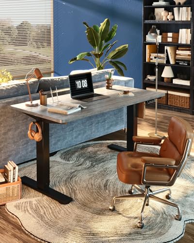 FLEXISPOT EN1 One-Piece Standing Desk, Electric Adjustable with 4 Memory Presets, 176 LBS Capacity, Stable & Quiet, Seamless Desktop for Home Office & Dual Monitors, 48"x30" Gray Wood - color: Gray Wood, size: 48x30"