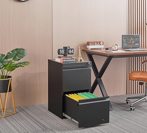 Guizeeopo 2 Drawer File Cabinet with Lock, Vertical File Cabinets for Home Office, Printer Stand, Heavy Duty Steel Office Storage Cabinet for Letter/Legal/A4, Assembly Required(Black) - color: 13-g Black