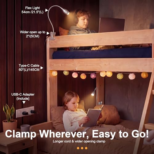 VIHOSE 1 Pcs Clip on Reading Light for Dorm Bed Headboard, Silver - color: Silver