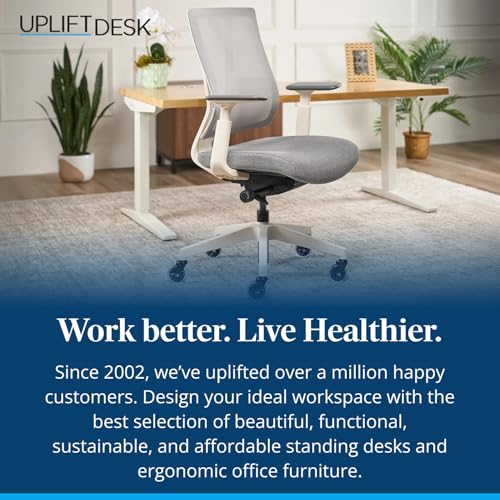 Clarksville Ergonomic Office Chair, Adjust Lumbar Support, Fog | Mesh Back Office Chair, Synchro-Tilt Recline Home Office Desk Chairs with 3-Way Arms, 300 lb Capacity Computer Chair - color: Fog
