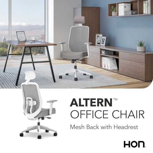 HON Altern Ergonomic Office Chair, Office Desk Computer Chair, Frost - color: Frost, style: White Frame