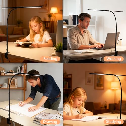 Dual-Head LED Desk Lamp for Office Home, Adjustable Flexible Eye-Caring Desk Light, 5 Modes 10 Brightness Adjustment, USB Adapter Desk Lamp with Clamp-ST-B - style: Double Head Black