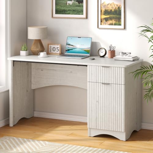 Bestier Computer Desk with Drawers, 47" Wood Office Storage Desk, White Oak - color: White Oak, size: 47"W with Single-Sided