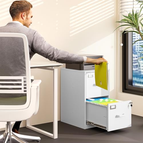 BYNSOE 2 Drawer File Cabinet with Lock Vertical Filing Storage Office Home Steel Vertical File Cabinets for Letter Size File Cabinet Locked,Assembly Required - color: White, size: 25.39"H x 17.71"D x 15"W